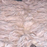 Scottish Blackface
Fleece